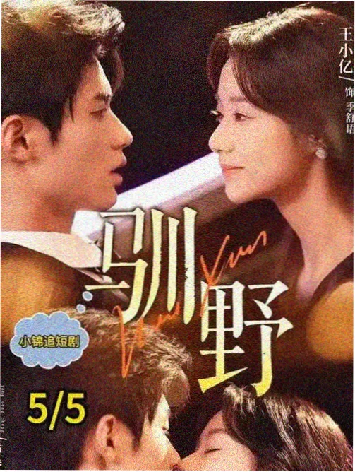 财阀X刑警